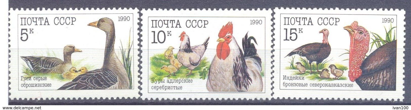 1990. USSR/Russia, Poultry, 3v,  Mint/** - Nuevos