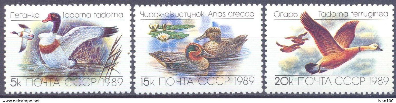1989. USSR/Russia,  Ducks, Issue I, 3v,  Mint/** - Ongebruikt