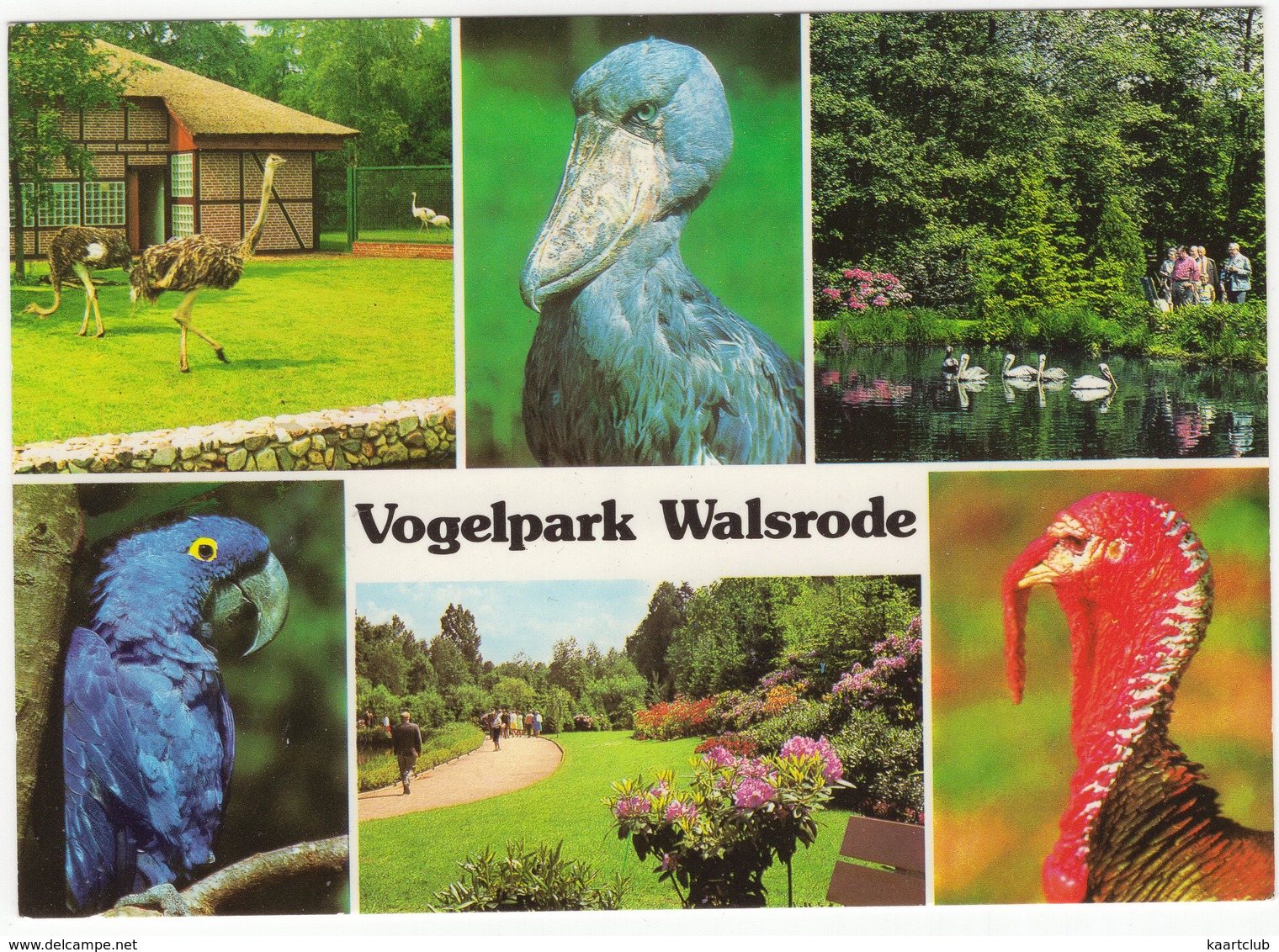 Vogelpark Walsrode - (Niedersachsen, Deutschland) - Walsrode