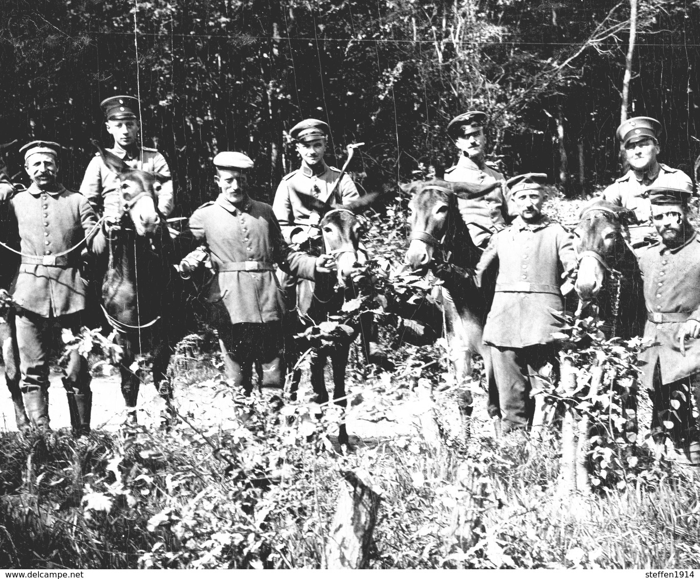 RP - Photo -Esel Maultier  Wattweiler Vogesen Les Vosges Soldats Allemnde  WWI WWI  - Photo Allemande    1914-1918 - Otros & Sin Clasificación