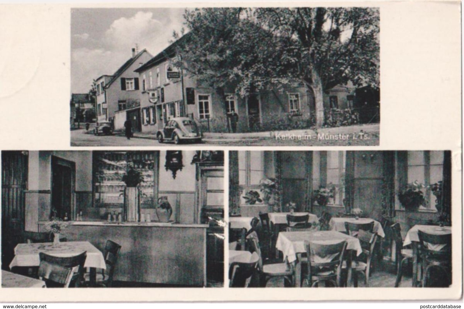 Kelkheim - Münster I. Ts. - Gast- U. Speisewirtschaft Zum Hohenstaufen - & Old Cars - Kelkheim