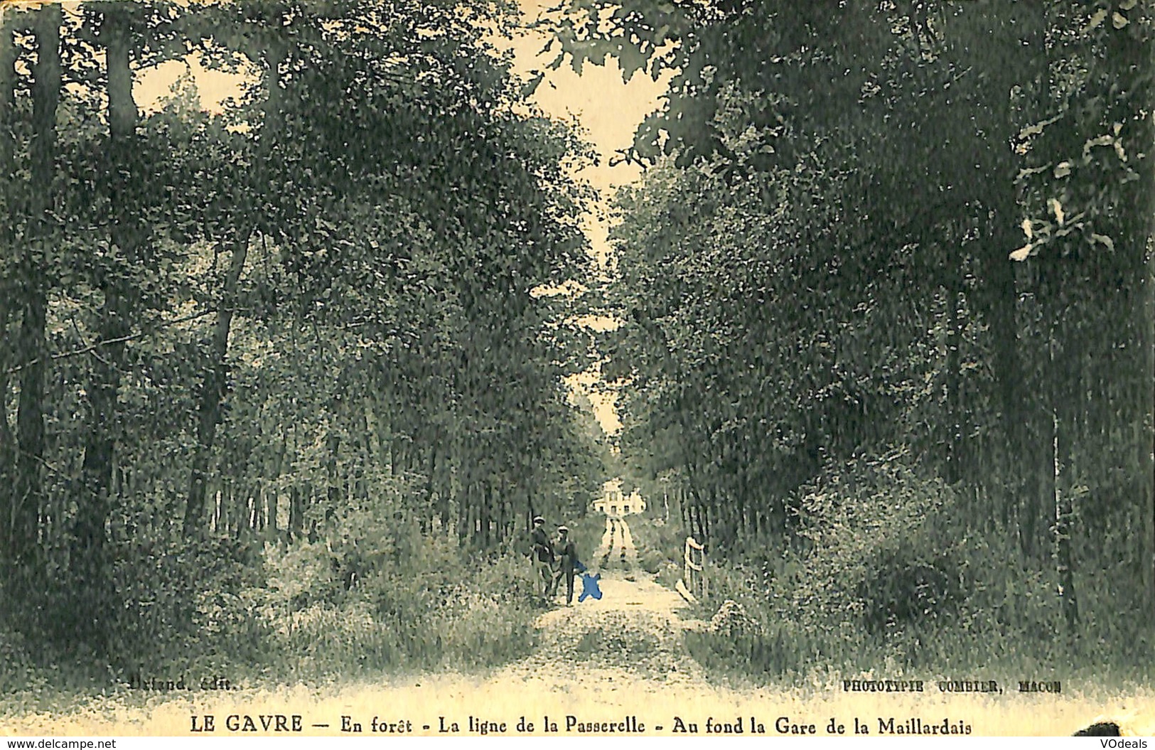 CPA - France - (44) Loire Atlantique - Le Gavre - En Forêt - La Ligne De La Passerelle - Le Gavre