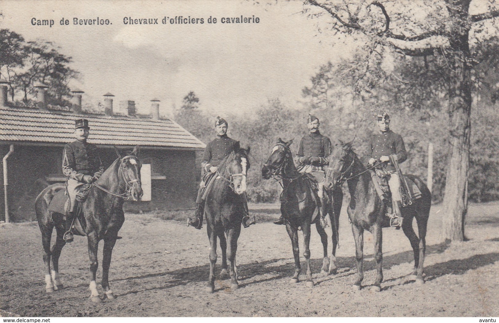 BEVERLOO / CAMP / KAMP / CAVALERIE / OFFICIEREN   1911 - Leopoldsburg (Beverloo Camp)