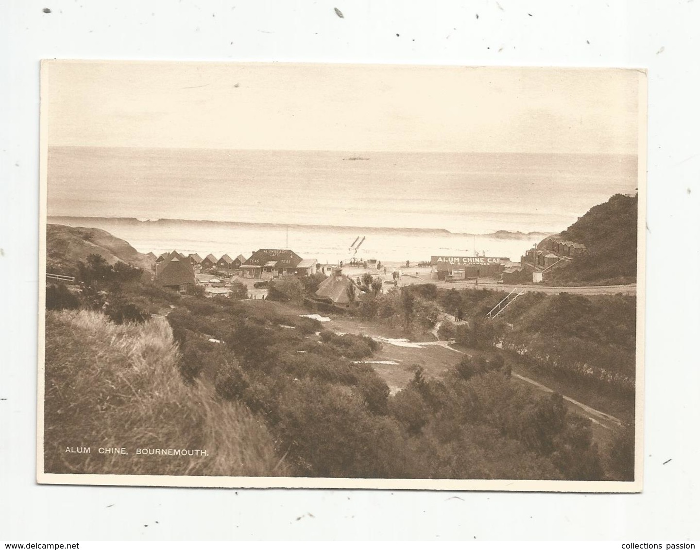 Cp, Angleterre , BOURNEMOUTH , ALUM CHINE , Vierge - Bournemouth (until 1972)