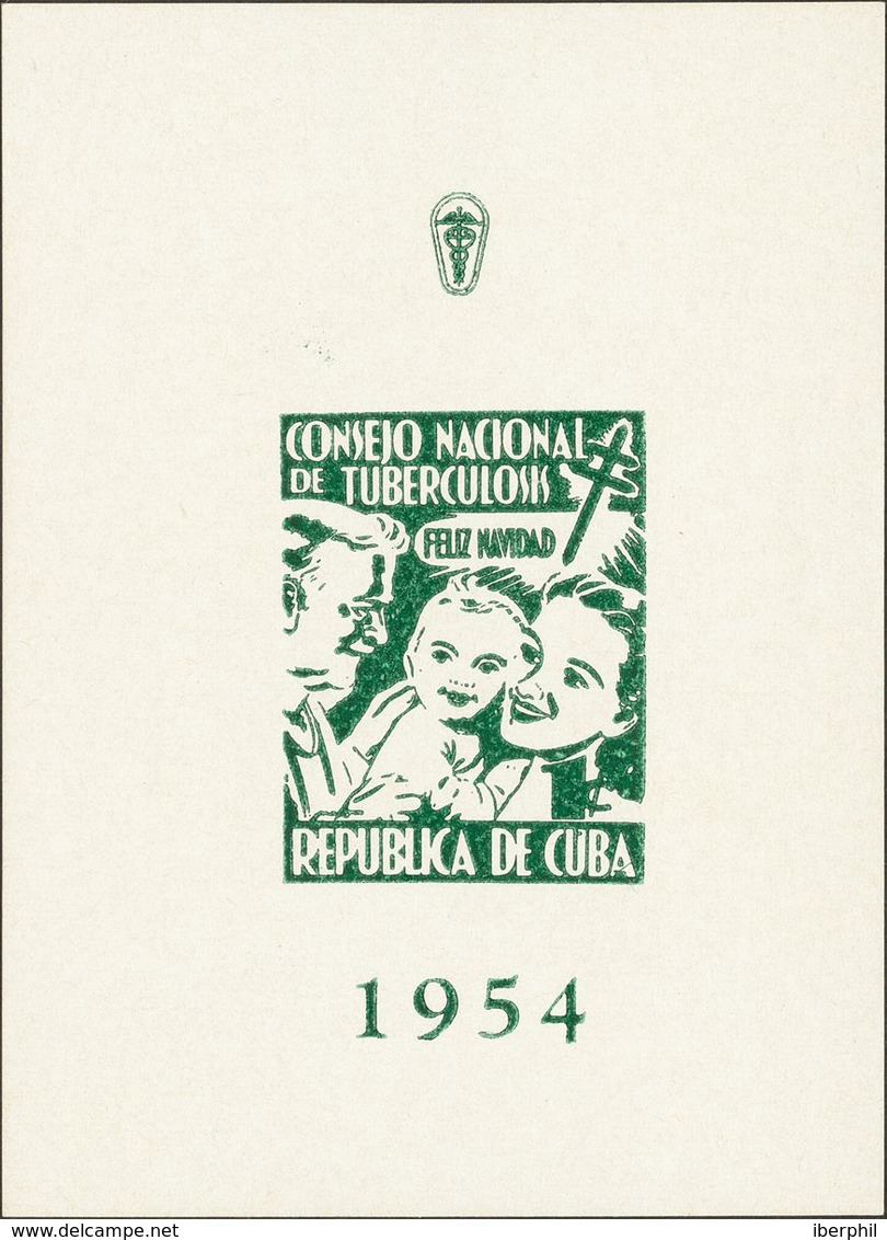 Sin Valor, Verde, Hojita Bloque. CONSEJO NACIONAL DE TUBERCULOSIS 1954. MAGNIFICA Y RARA. - Autres & Non Classés