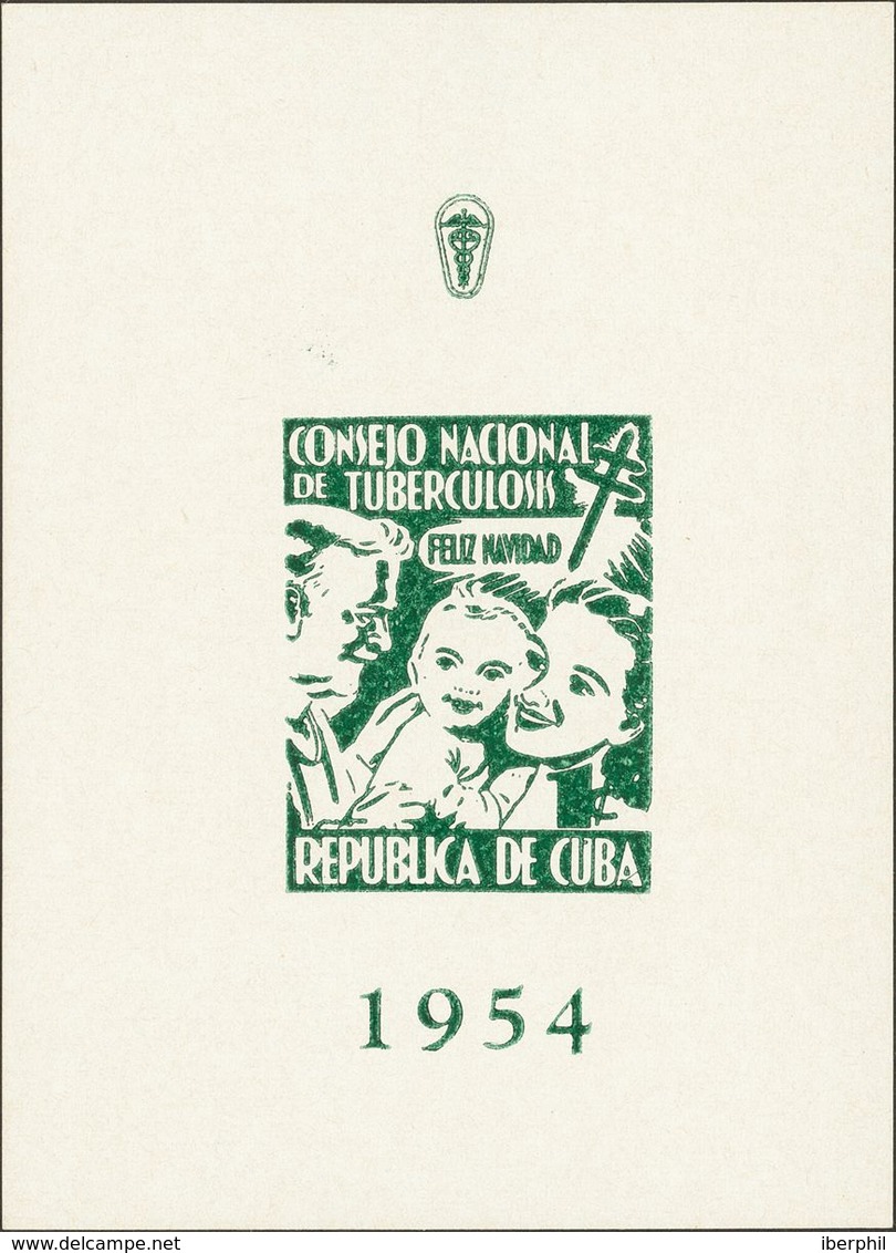 Sin Valor, Verde, Hojita Bloque. CONSEJO NACIONAL DE TUBERCULOSIS 1954. MAGNIFICA Y RARA. - Sonstige & Ohne Zuordnung