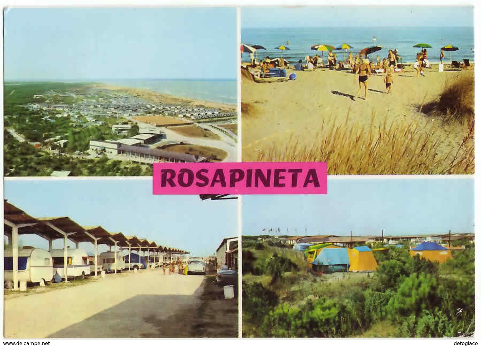 ROSOLINA - ROVIGO - ROSAPINETA CAMPING - VIAGG. 1971 - - Rovigo