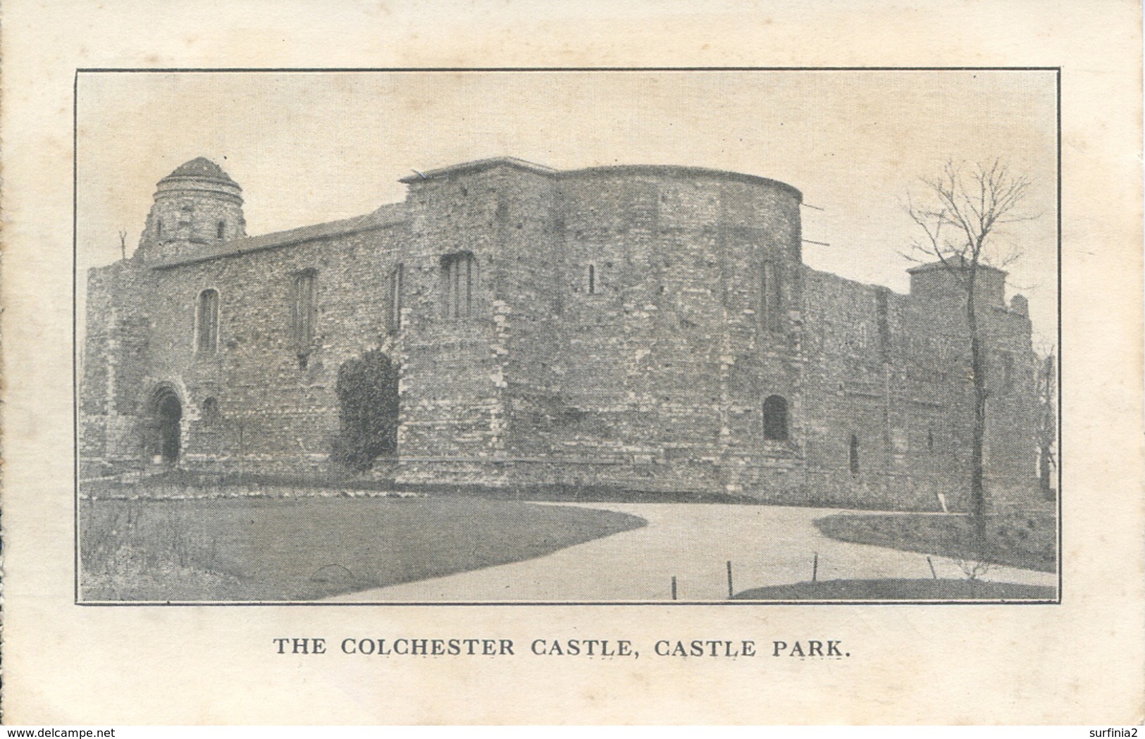 ESSEX - COLCHESTER - CASTLE - CASTLE PARK  Es440 - Colchester