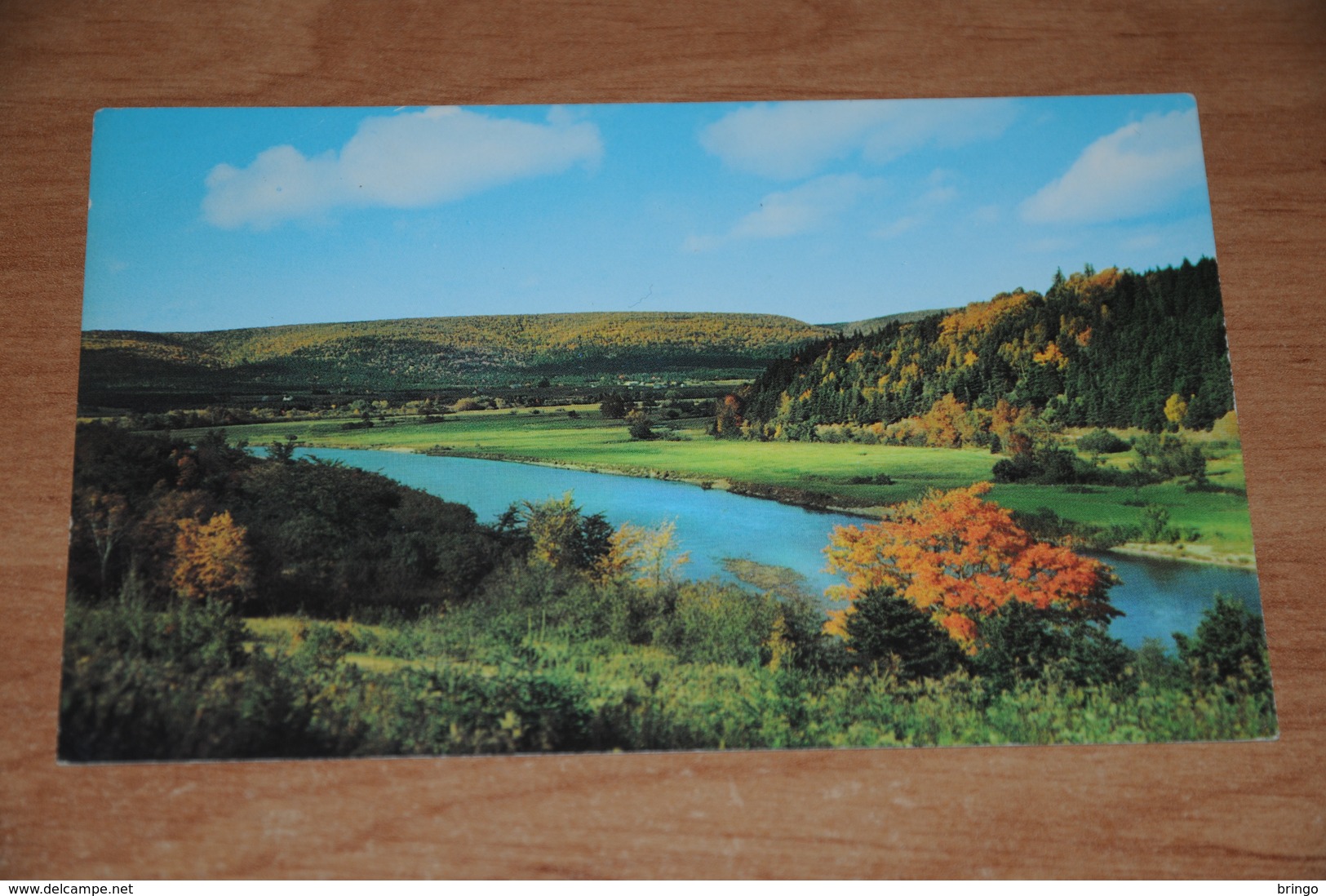 3123-           CANADA, N.S., CAPE BRETON, THE MARGAREE RIVER - Cape Breton