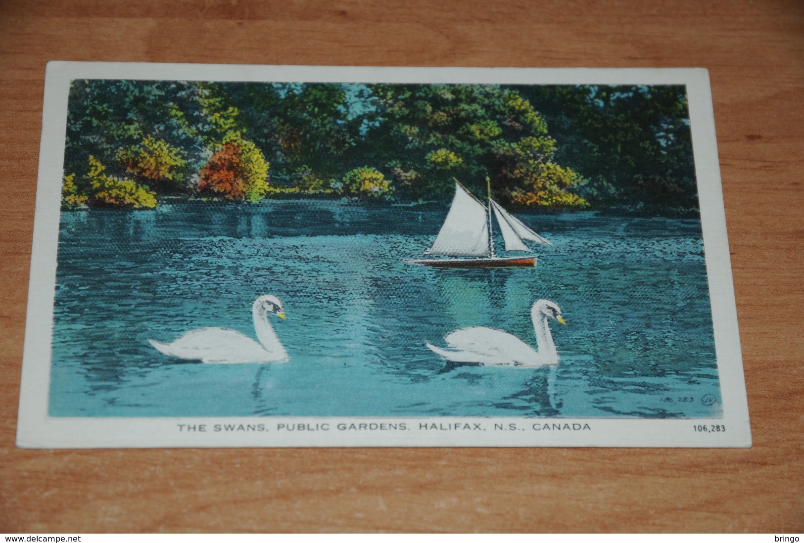 3129-           CANADA, NOVA SCOTIA, HALIFAX, PUBLIC GARDENS, THE SWANS - 1942 - Halifax