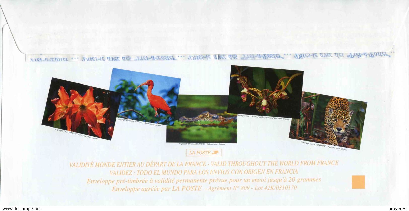 PAP De 2003 Avec Timbre "La Tortue Luth" Et Illustration "Orchidée D'Amazonie - Guyane" - PAP: Sonstige (1995-...)