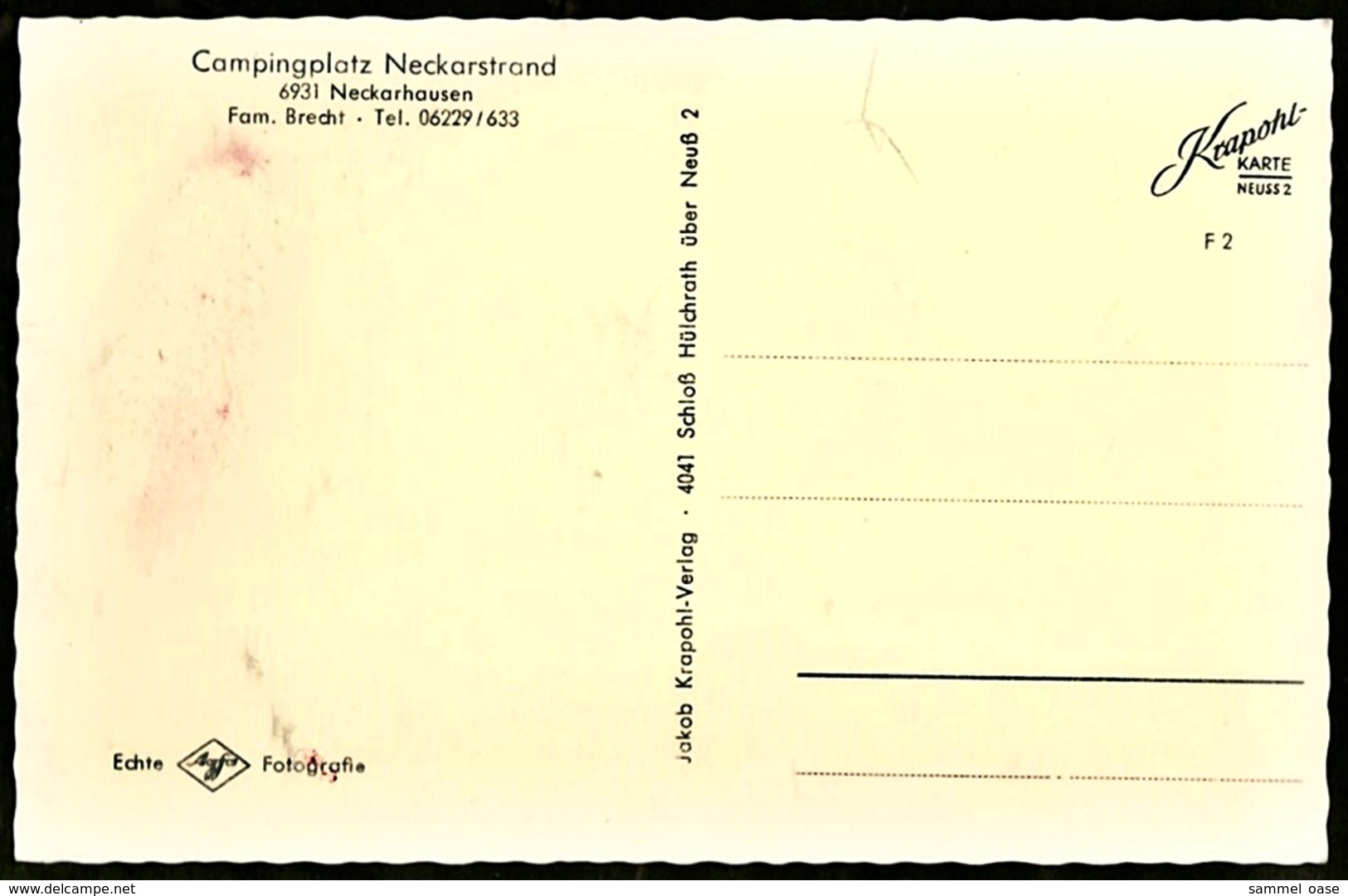 Neckarhausen Bei N.-Steinach  -  Campingplatz Neckarstrand  -  Ansichtskarte 1965  (12590) - Ladenburg