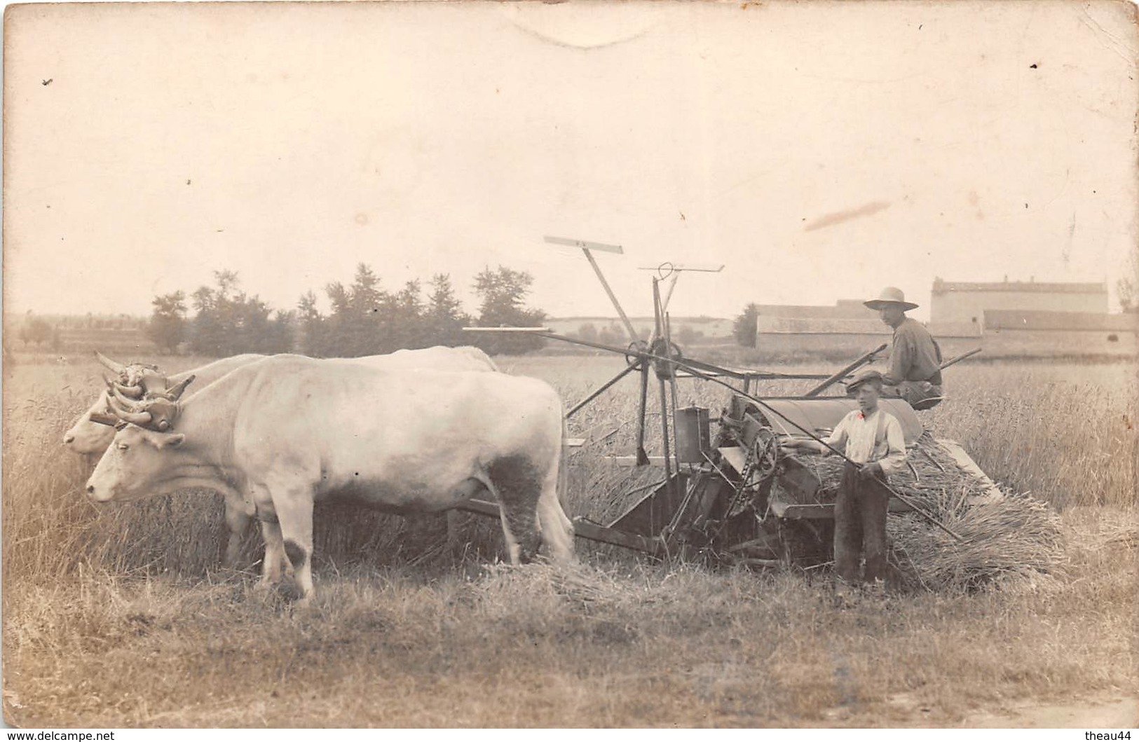 ¤¤  - Carte-Photo Non Située De Deux Paysans  -  Battage Du Blé  -  Attelage De Boeufs  -  Moissonneuses  -  ¤¤ - Bauern