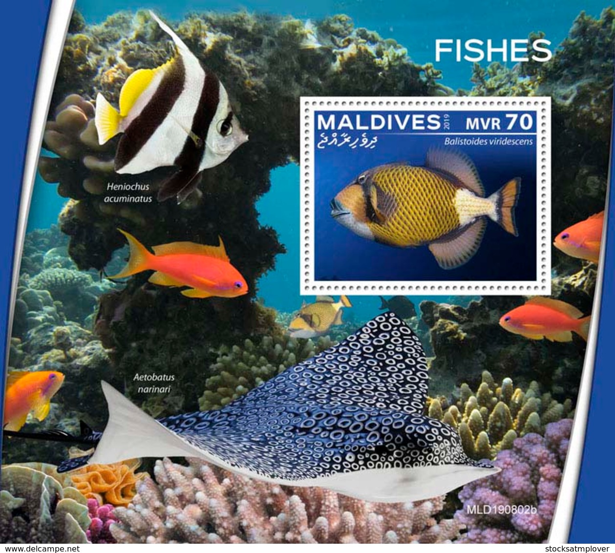 Maldives  2019  Fauna  Fishes  S202001 - Maldivas (1965-...)