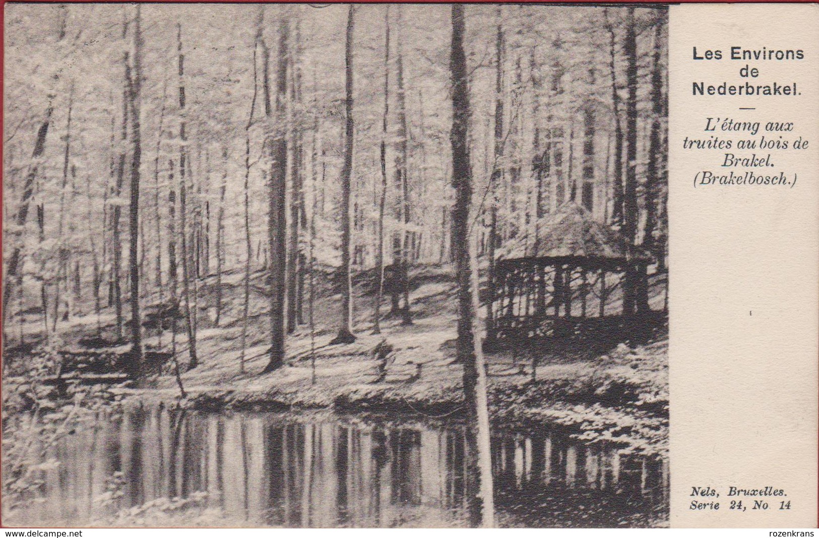 Les Environs De Nederbrakel, L'etang Aux Truites Au Bois De Brakel Brakelbosch ZELDZAAM CPA RARE (In Zeer Goede Staat) - Brakel