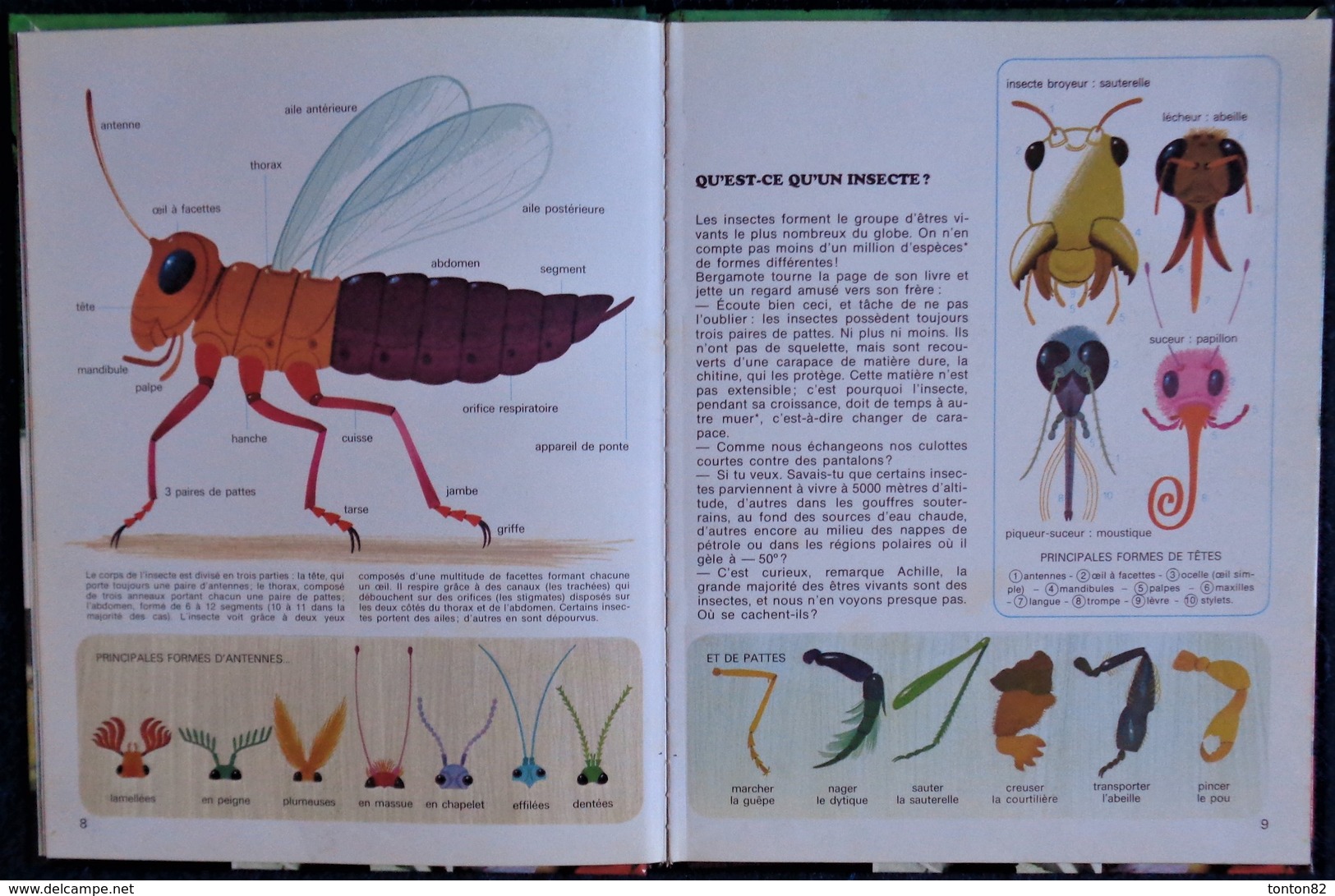 Alain Grée - LES INSECTES - Casterman - ( 1974 ) . - Casterman