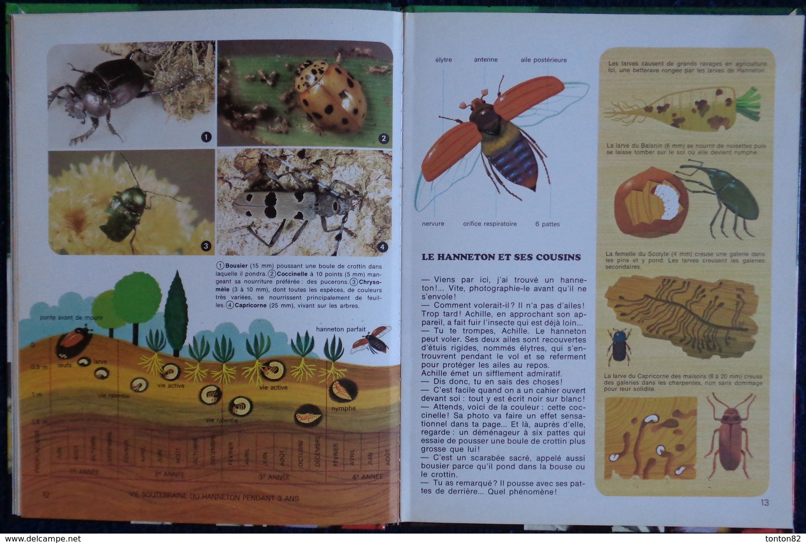 Alain Grée - LES INSECTES - Casterman - ( 1974 ) .