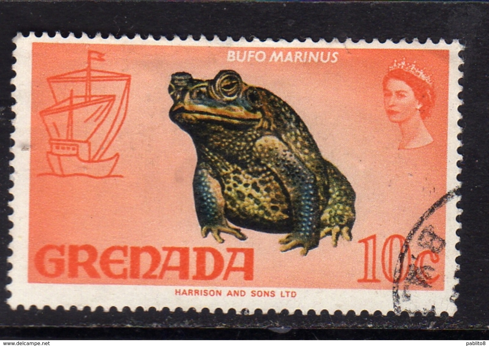 GRENADA 1968 1971 GIANT TOAD ROSPO GIGANTE CENT. 10c USED USATO OBLITERE' - Grenada (...-1974)