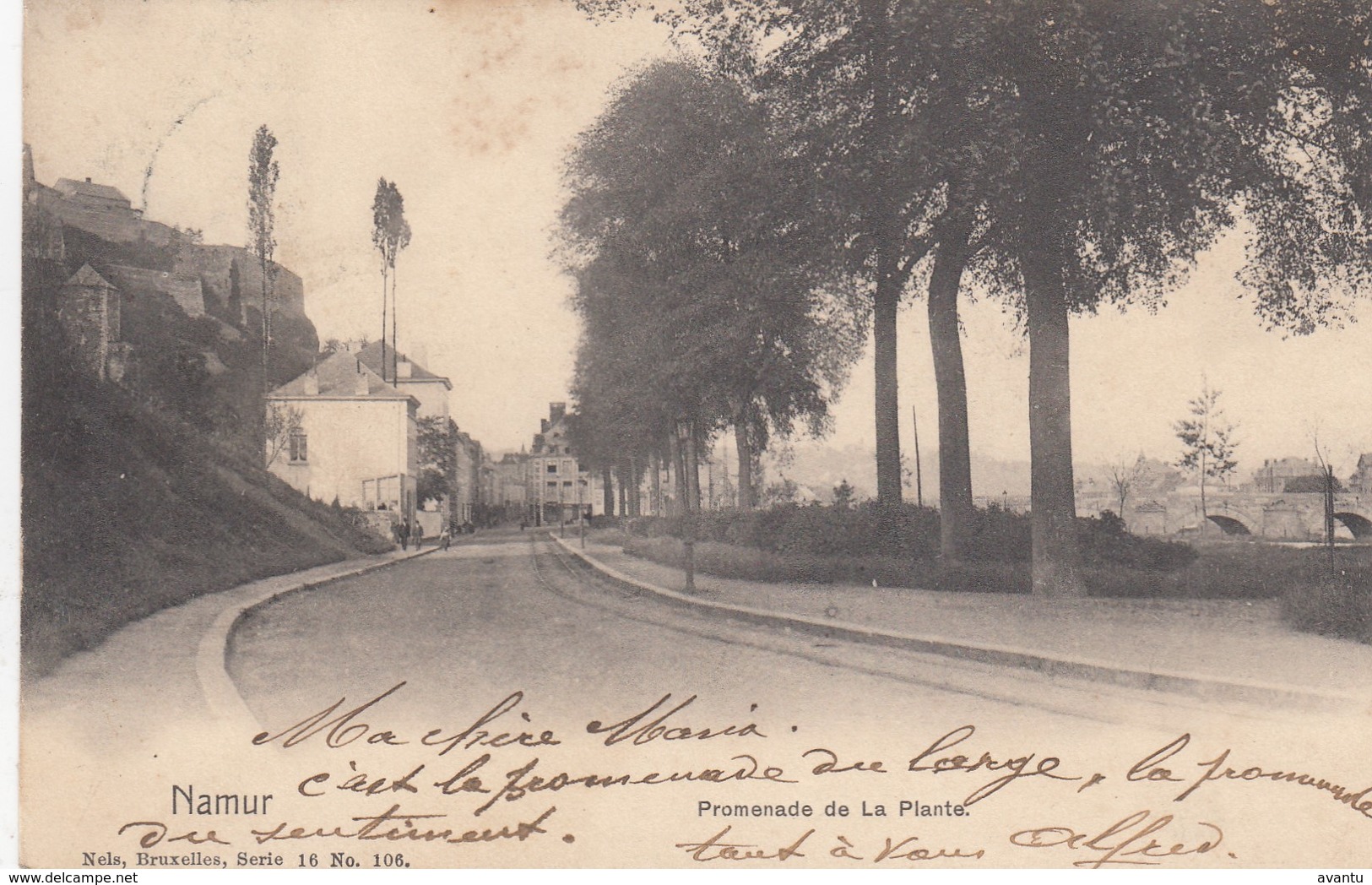 NAMUR / PROMENADE DE LA PLANTE  1903 - Namur