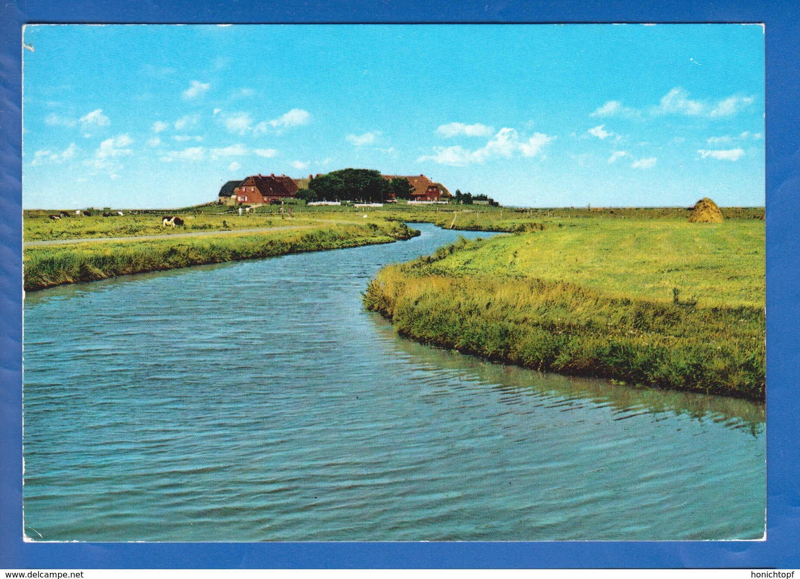 Deutschland; Hallig Hooge; Backenswarft - Halligen