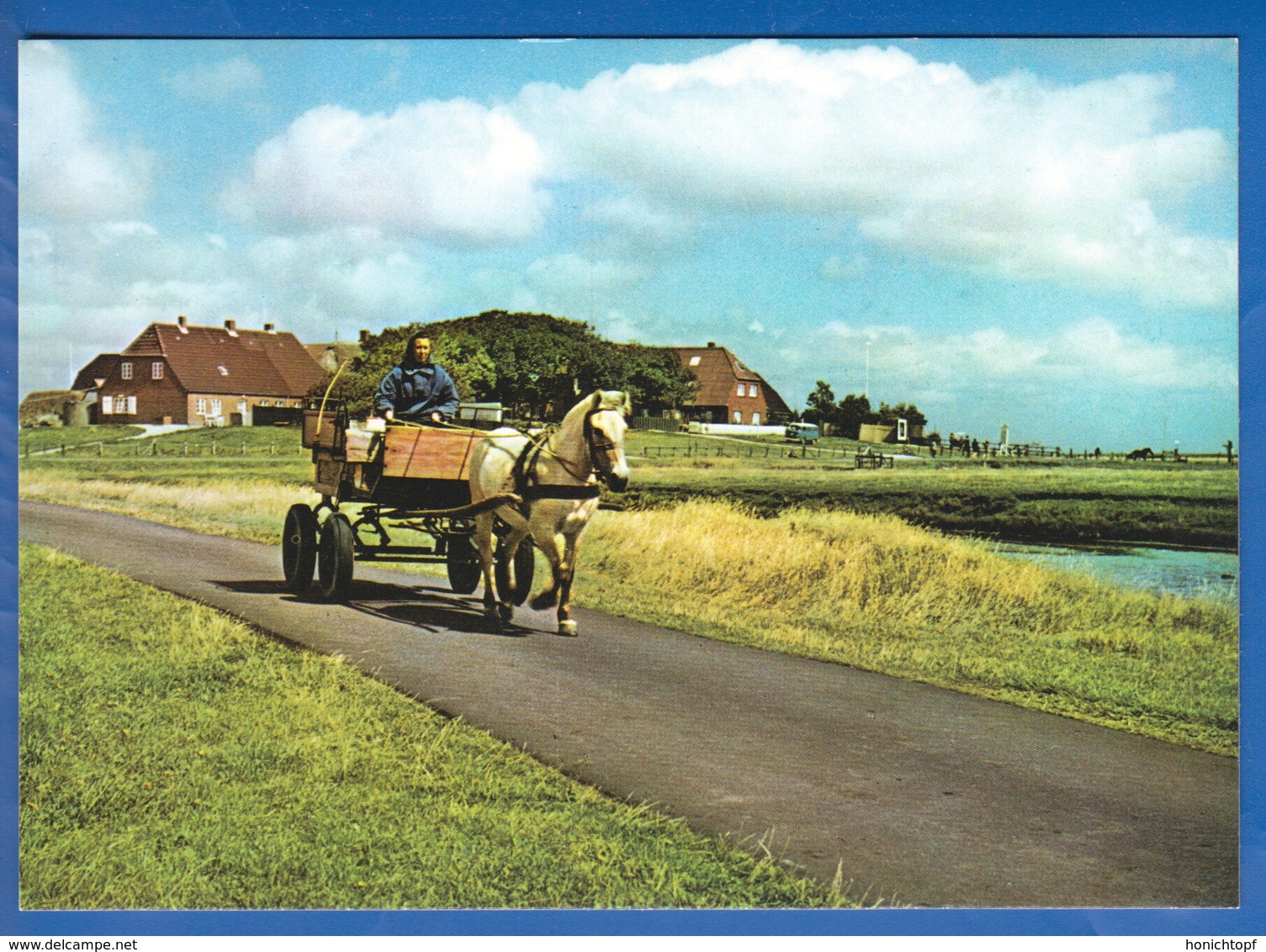 Deutschland; Hallig Hooge; Backenswarft - Halligen