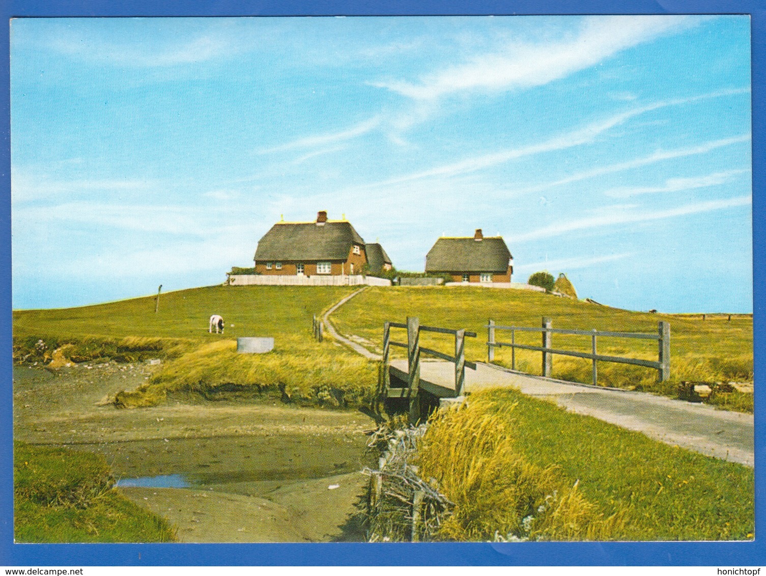 Deutschland; Hallig Hooge; Westerwarft - Halligen