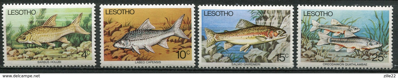 Lesotho Mi# 237-40 Postfrisch MNH - Fish - Lesotho (1966-...)