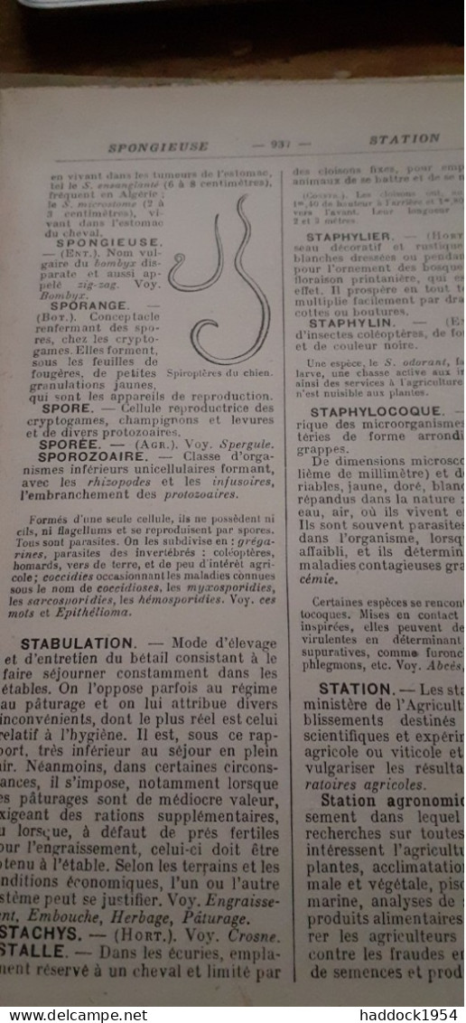 dictionnaire d'agriculture et de viticulture SELSTENSPERGER baillière 1922
