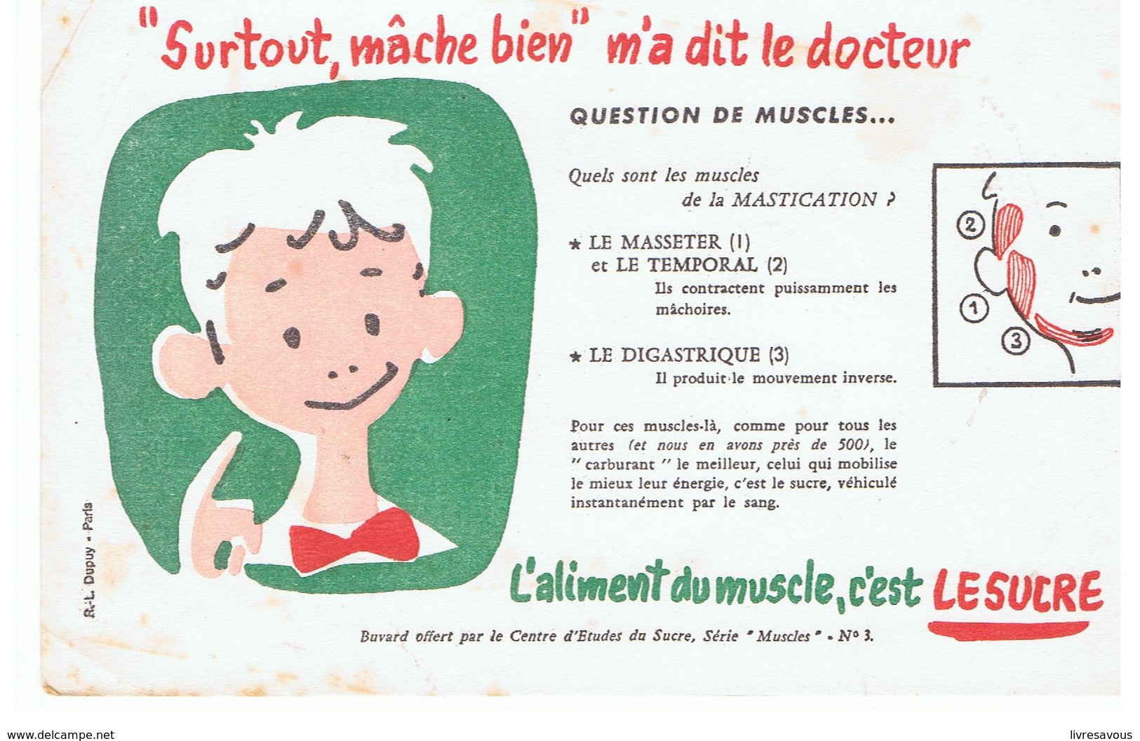 Buvard LE SUCRE "Surtout Mâche Bien" M'a Dit Le Docteur L'aliment Du Muscle C'est LE SUCRE Buvard N°1 - Sucreries & Gâteaux