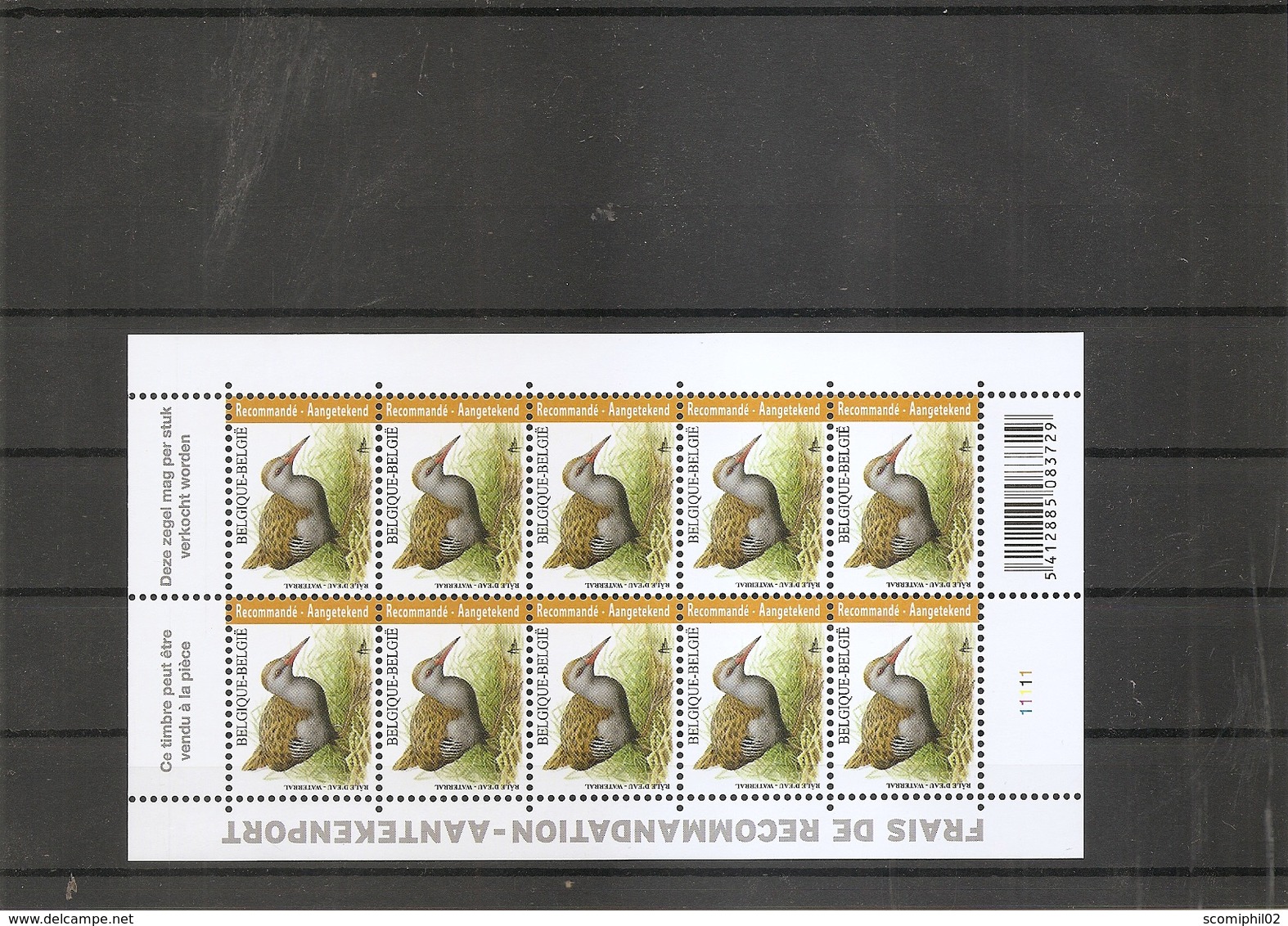 Belgique - Oiseaux - Buzin ( 4671 En Feuille De 10 XXX -MNH) - Unclassified