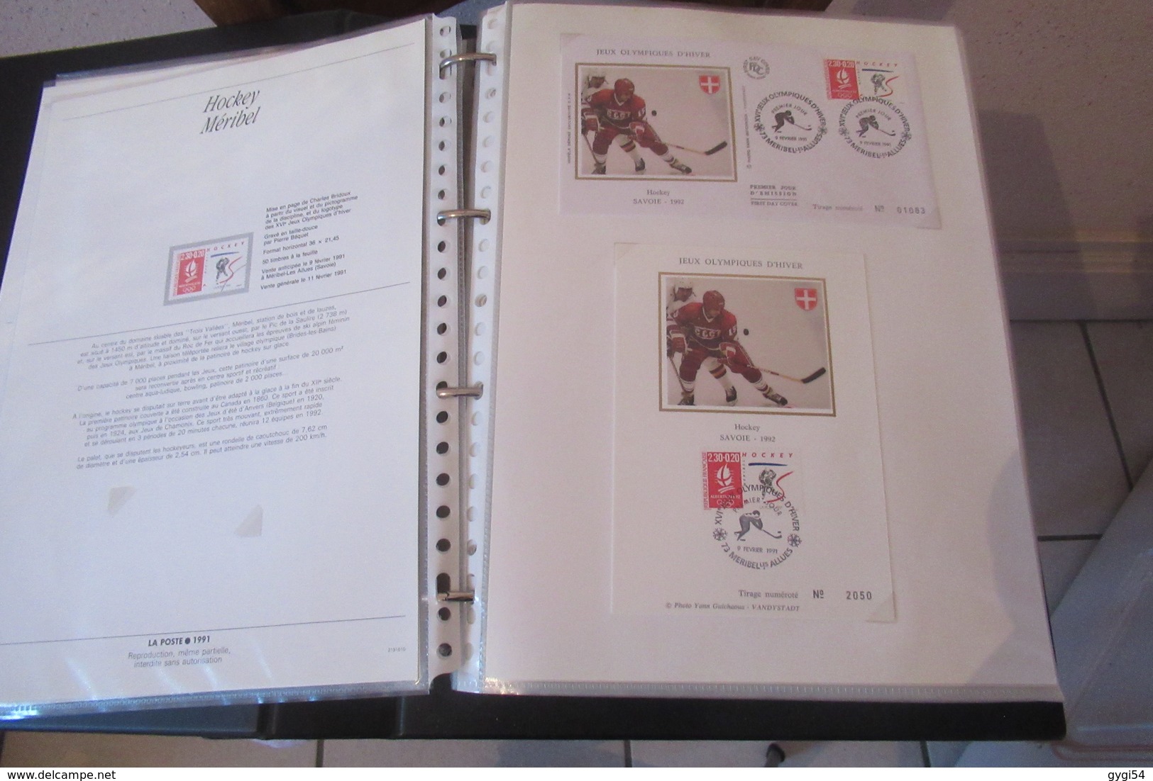 France 1991  1 Notice  1 1er Jour , Une Carte Max  Sur 40 Scans - Collections (en Albums)