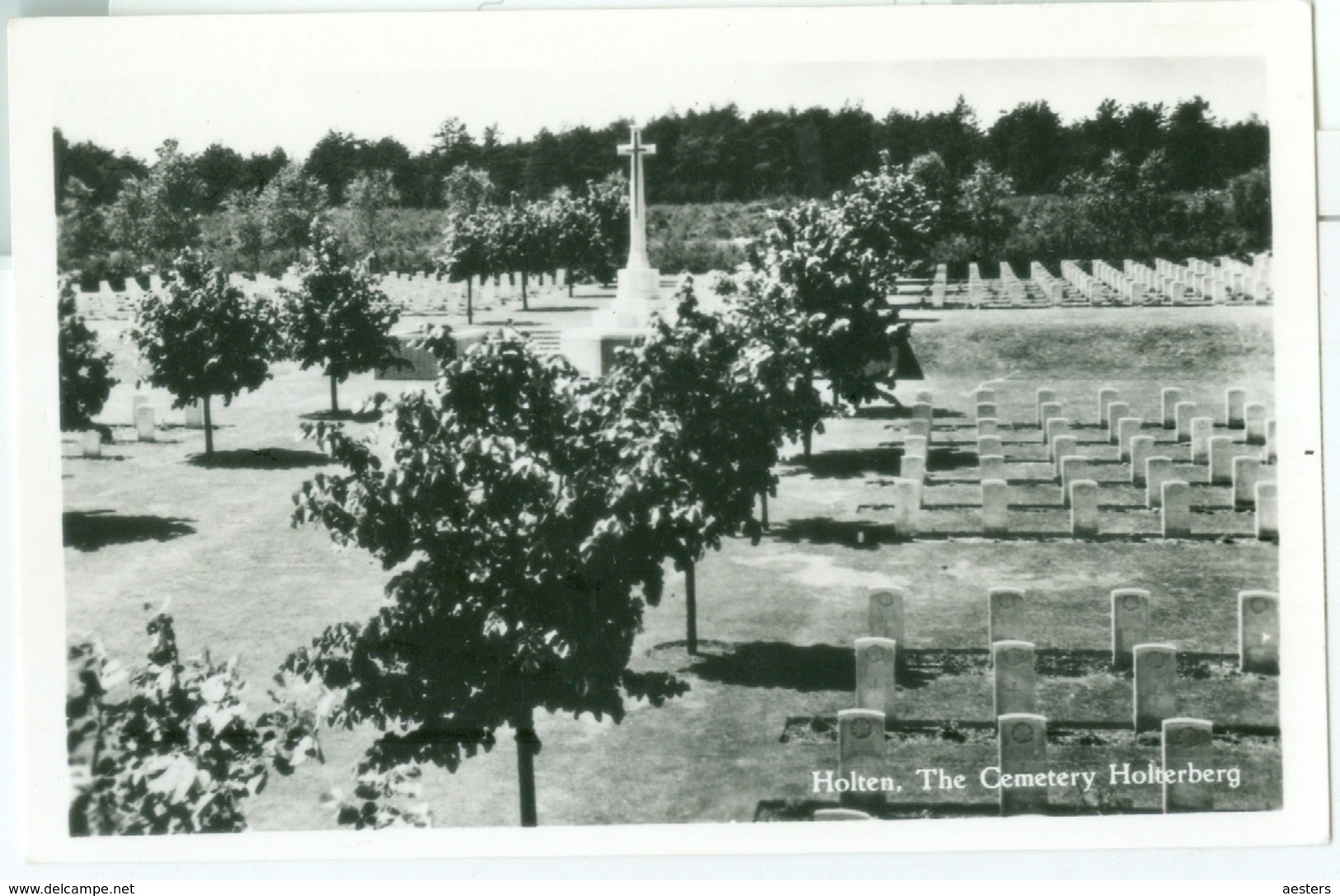 Holten; Cemetery Holterberg (Oorlogsbegraafplaats) - Niet Gelopen. (Foka) - Holten