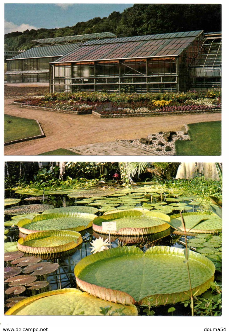 VILLERS LES NANCY (54) - Jardins Botaniques De Nancy (2 Cartes) - Sonstige & Ohne Zuordnung