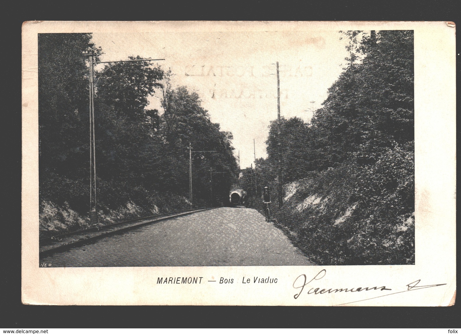 Mariemont - Bois: Le Viaduc - 1903 - Morlanwelz