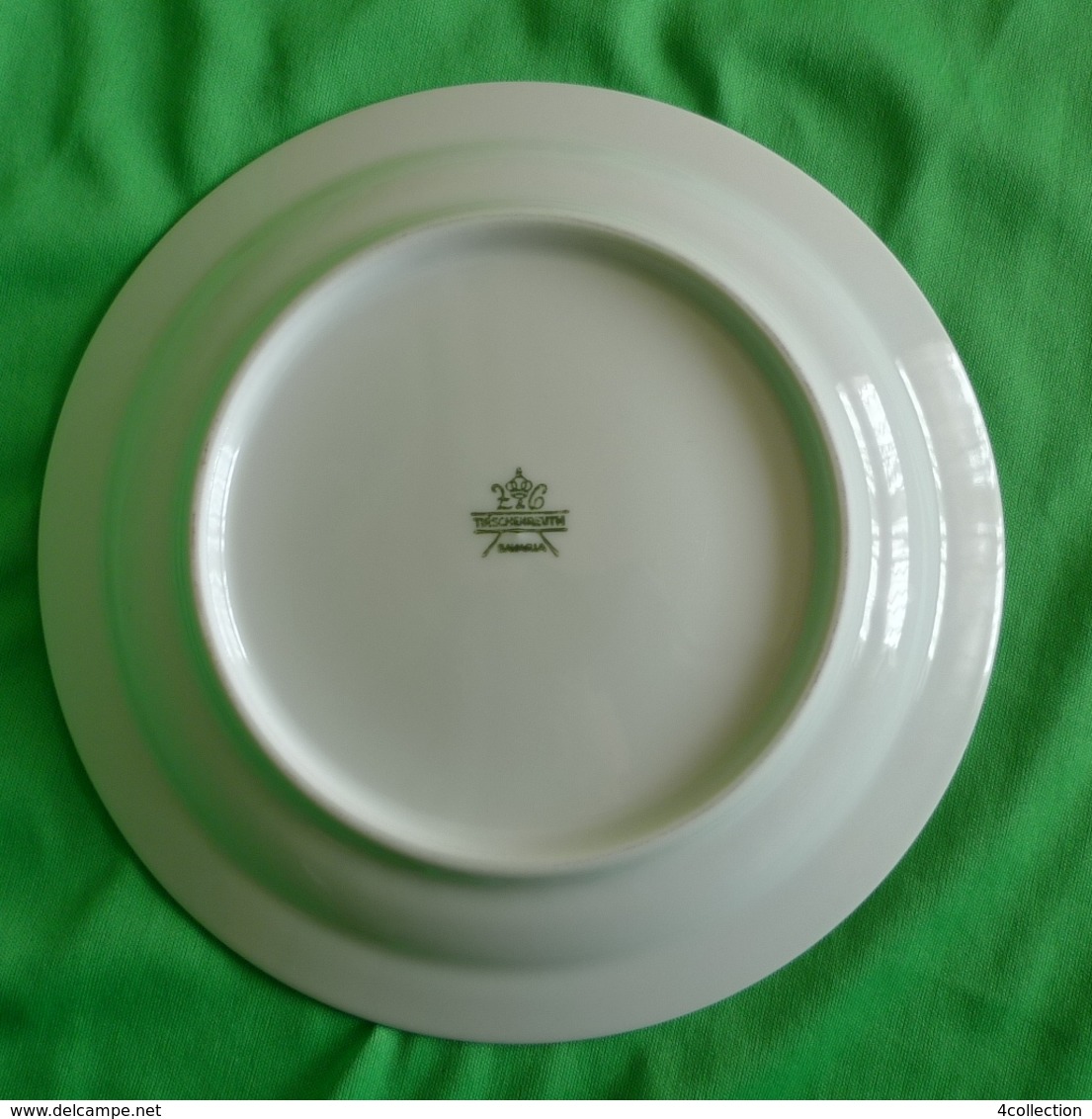 Vintage Germany Tirschenreuth Bavaria Collector White Plate Chimapila Umbellata - Sonstige & Ohne Zuordnung