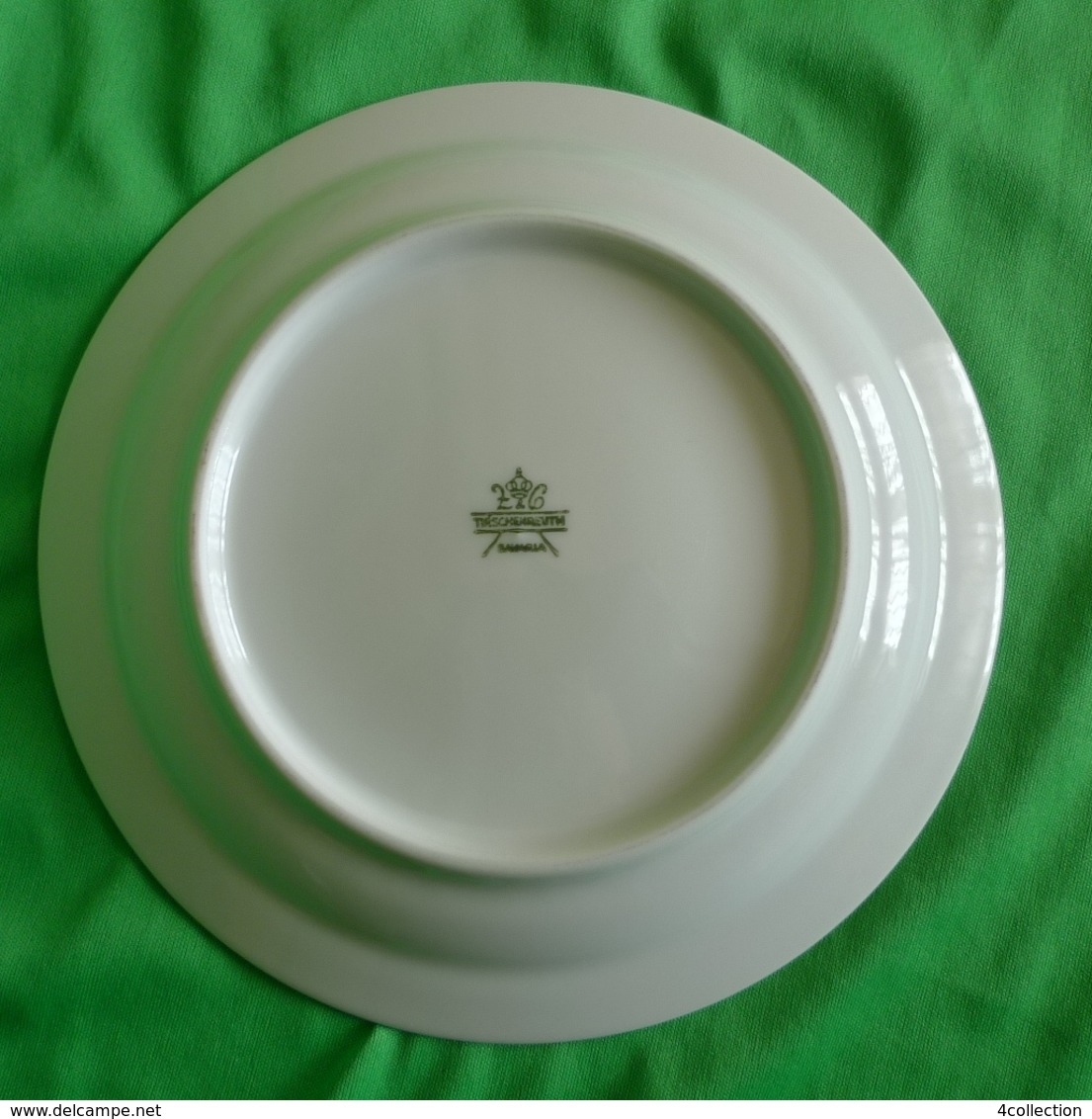 Vintage Germany Tirschenreuth Bavaria Collector White Plate Chimapila Umbellata - Altri & Non Classificati
