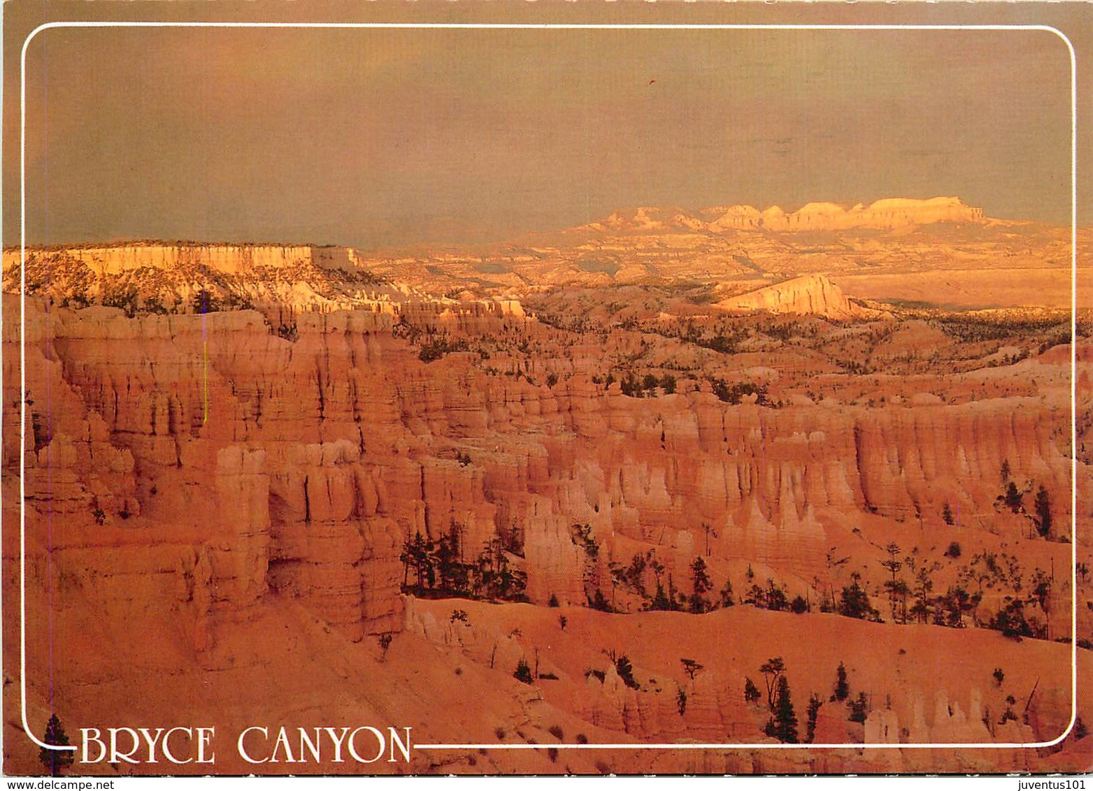 CPSM Bryce Canyon National Park        L2975 - Bryce Canyon