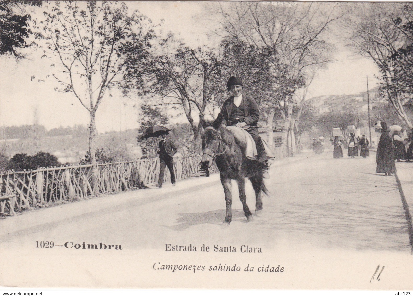 PORTUGAL   COIMBRA BURRO CAMPONESES ? - Coimbra