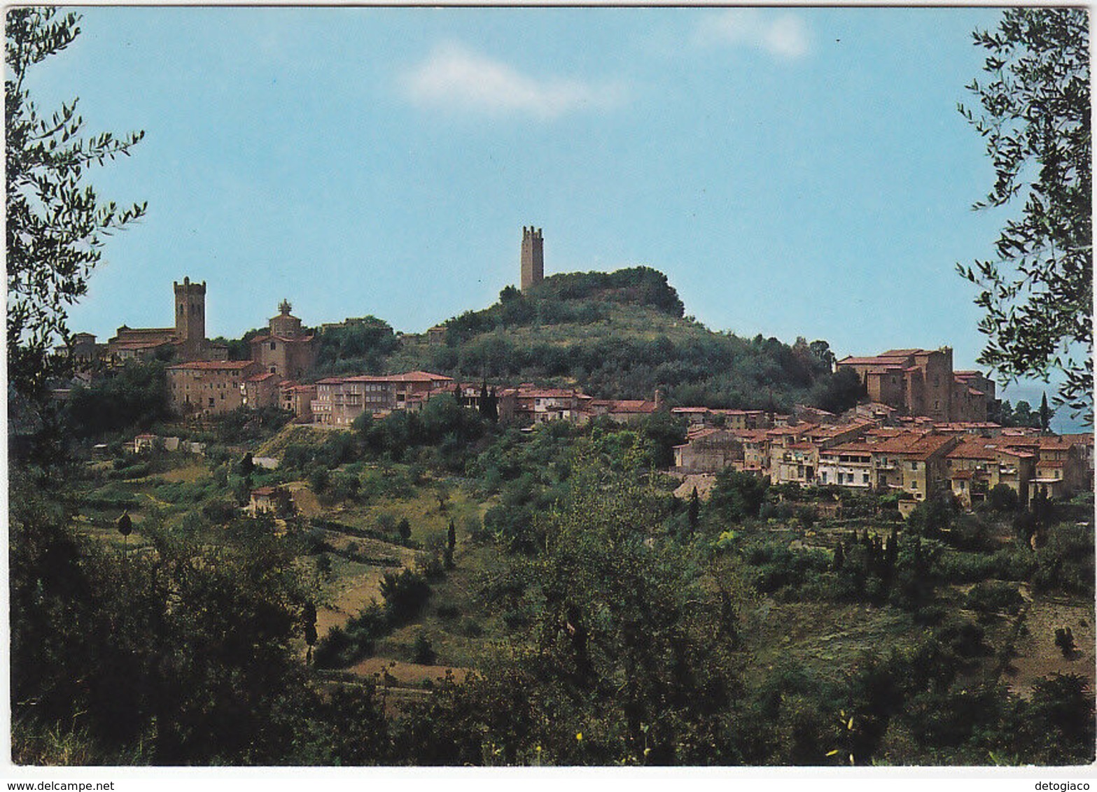 CITTA' DI S. MINIATO - PISA - PANORAMA -13440- - Pisa