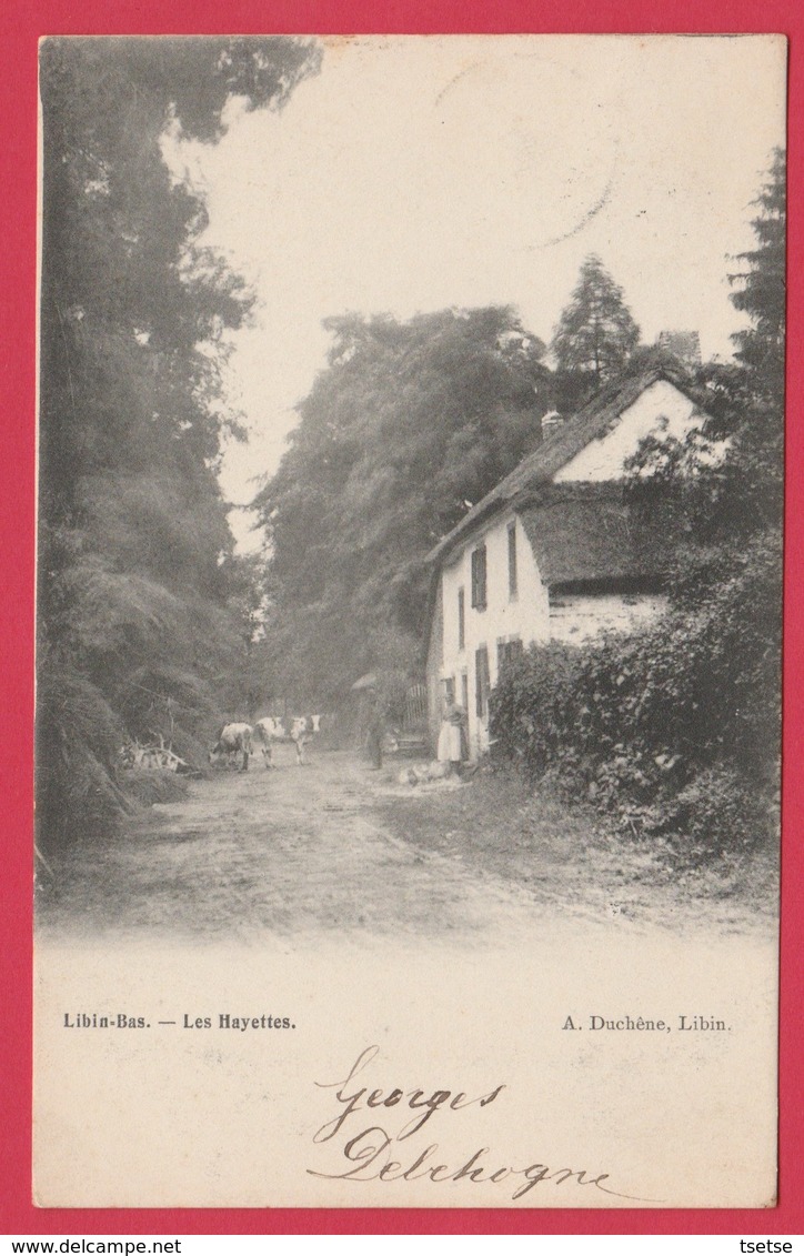 Libin-Bas - Les Hayettes - 1905 ( Voir Verso ) - Libin