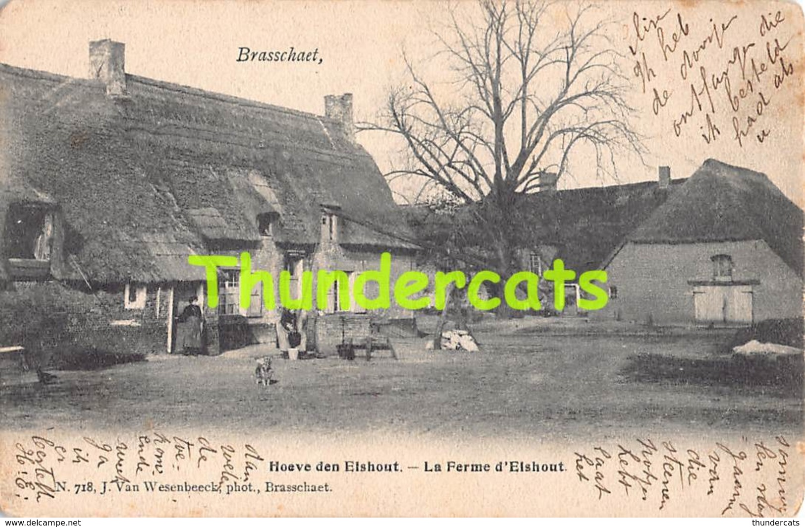 CPA BRASSCHAAT  BRASSCHAET  HOEVE DEN ELSHOUT LA FERME D'ELSHOUT - Brasschaat