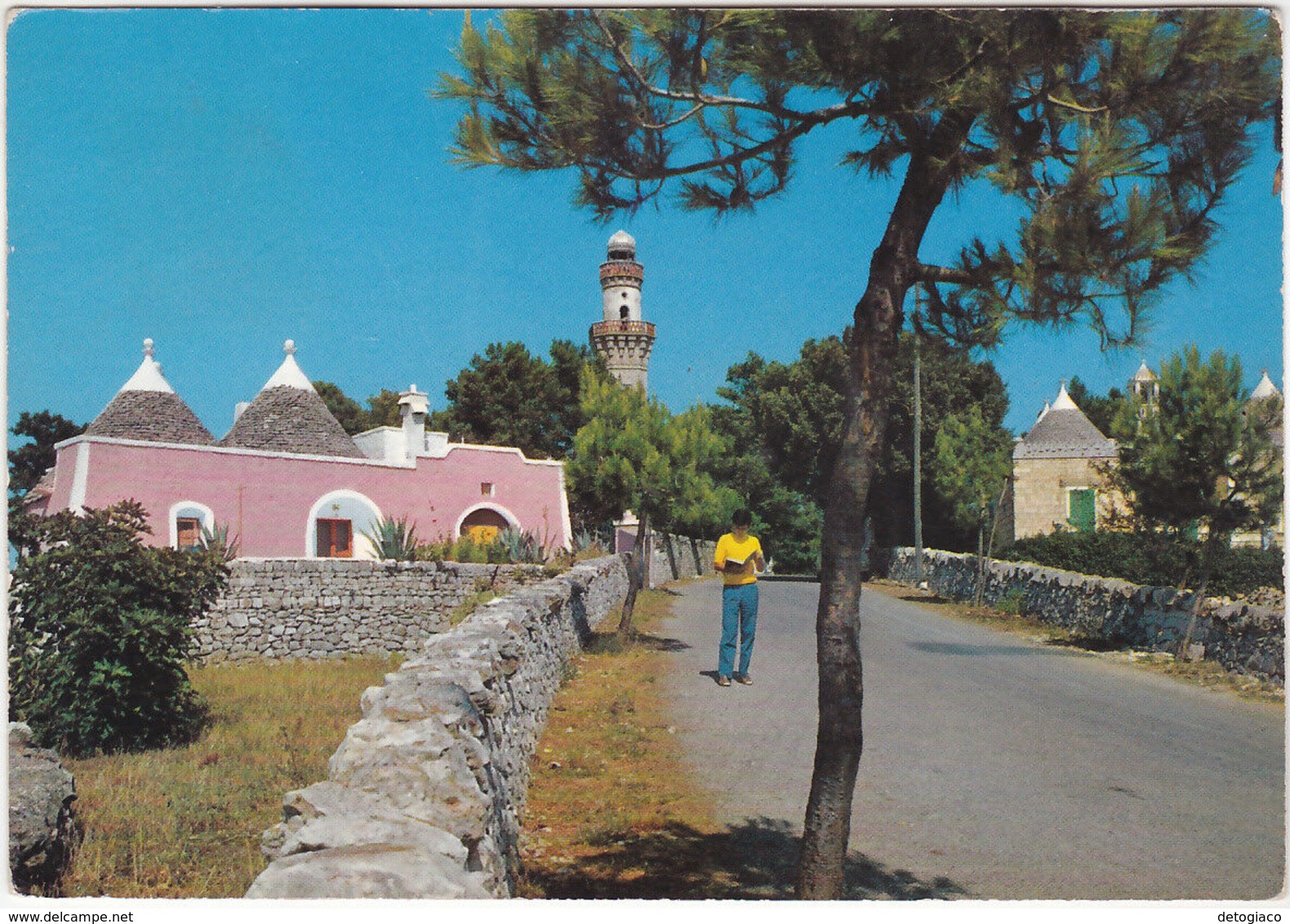 SELVA DI FASANO - BRINDISI - COLONIA MONTANA - SCORCIO -18991- - Brindisi