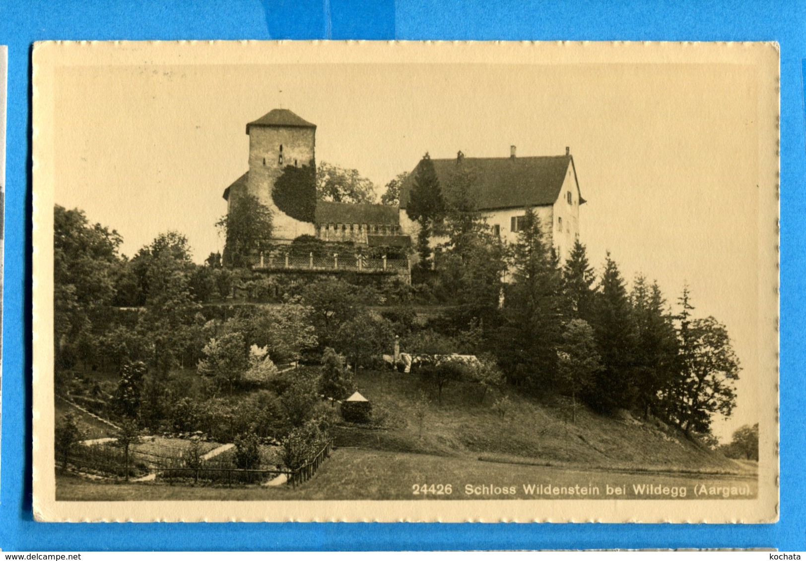 NY430, Schloss Wildenstein Bei Wildegg, 24426, Wehrli, Circulée 1916 - Wildegg