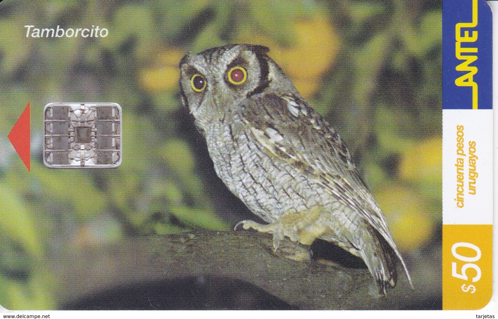 Nº 195 TARJETA DE URUGUAY DE ANTEL DE UN TAMBORCITO (BUHO-OWL-CHOUETTE) - Hiboux & Chouettes