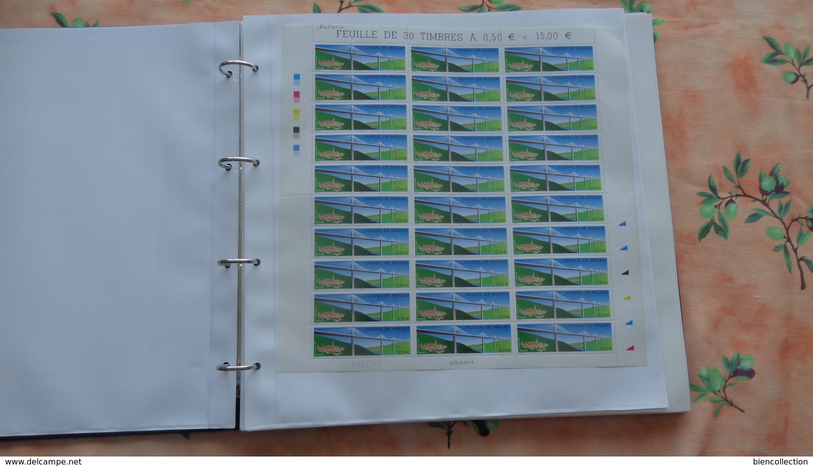 1 Album Pour Feuilles Entières Avec 10 Pages Pour 2 Feuilles Recto Verso 30cm X 33cm Et 10 Pages 33cm X 33cm - Komplettalben