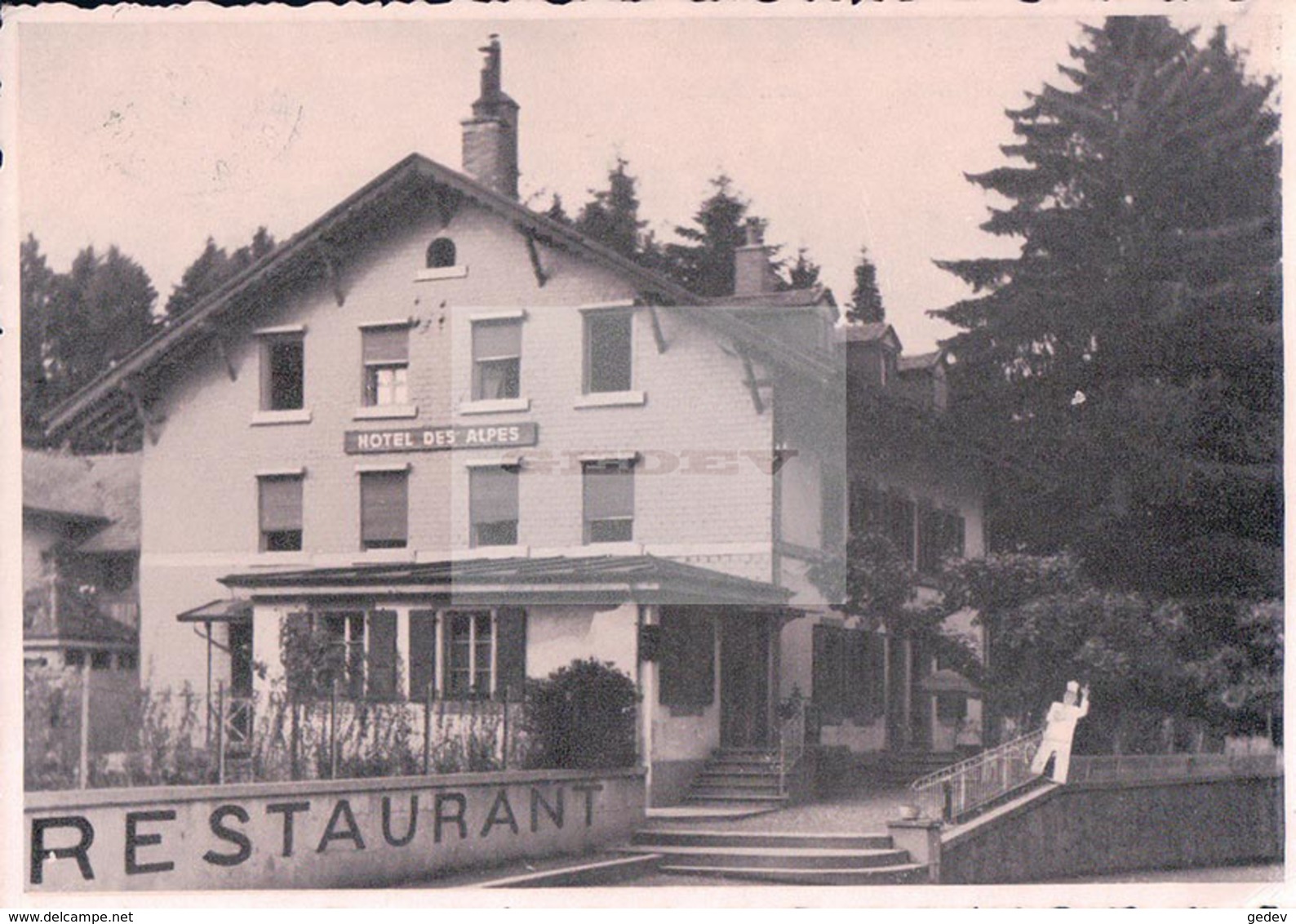 Savigny VD, Hôtel Et Restaurant Des Alpes, Prop. Fernand Galster (31) 10x15 - Savigny