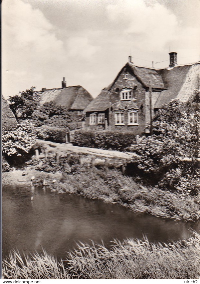 AK Hallig Hooge - Hanswarf - Königshaus Mit Feding (48285) - Nordfriesland