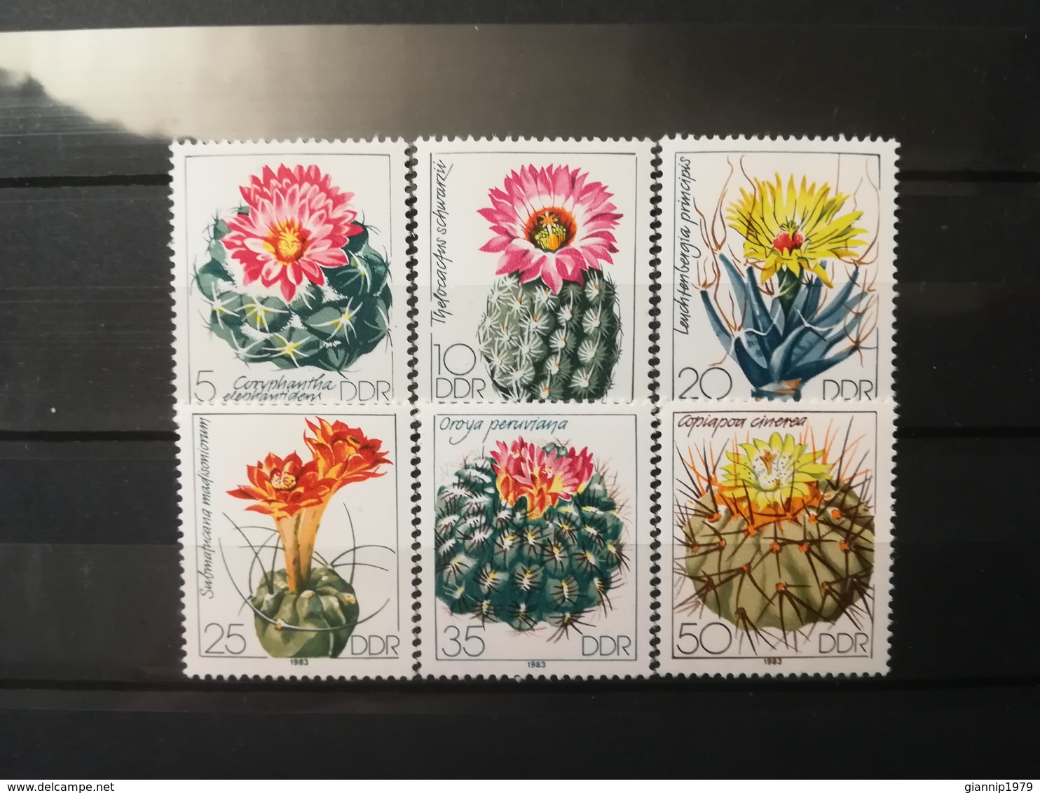 FRANCOBOLLI STAMPS GERMANIA DEUTSCHE DDR 1983 MNH** NUOVI SERIE COMPLETA COMPLETE CACTUS FLOWERS GERMANY - Nuovi