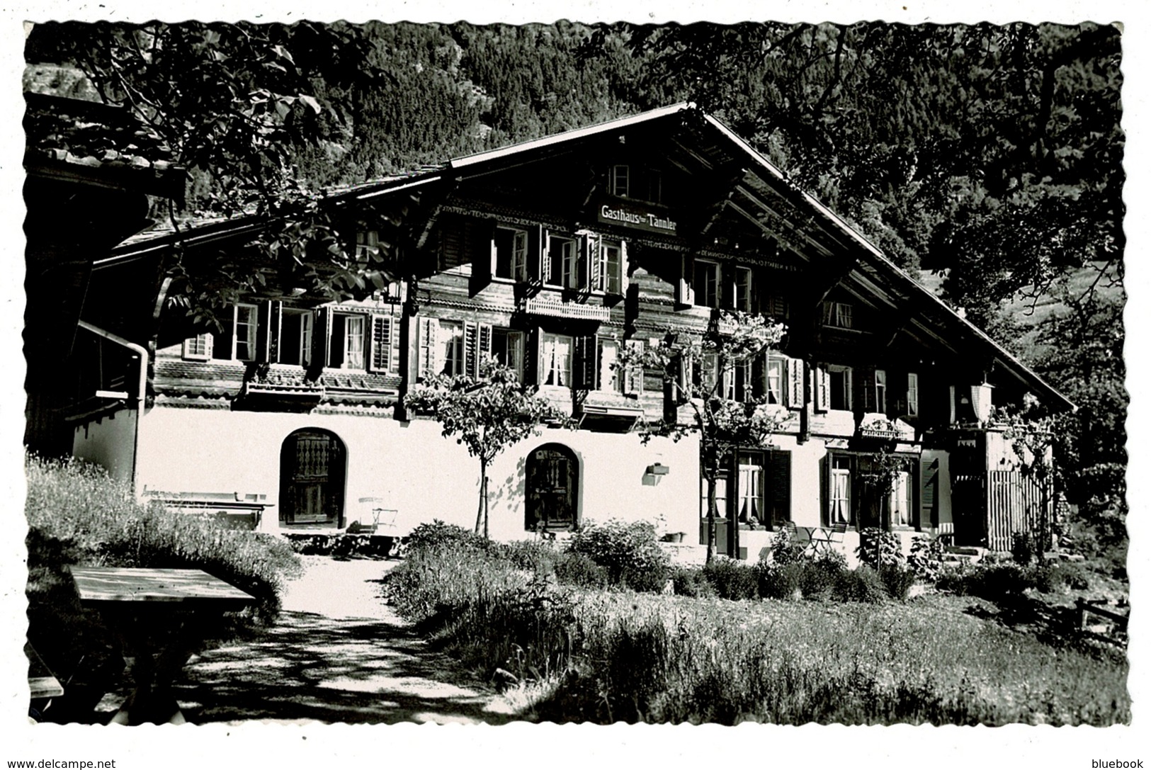 Ref 1352 - Real Photo Postcard - Gasthaus Tannier - Wiler Innertkirchen - Switzerland - Wiler