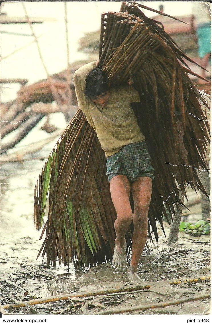 Bangladesh (Asia) Raccoglitore Di Rami Di Palme, Relieur De Branches De Palmiers - Bangladesch